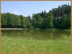 Ludgeřovické rybníky