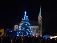 Slavnostní rozsvícení obecního vánočního stromu na&nbsp;Menšíkové louce