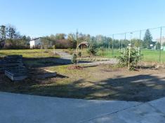 V areálu školního hřiště naší základní školy vzniká botanická zahrada