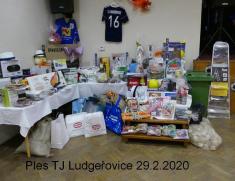 Ples TJ Ludgeřovice 29.&nbsp;2. 2020