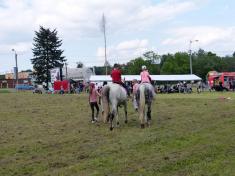 Kácení obecní májky 27.5.2017